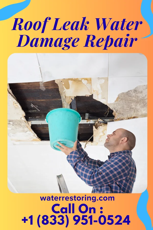 Roof Leak Water Damage Repair in Pecan Hill, TX