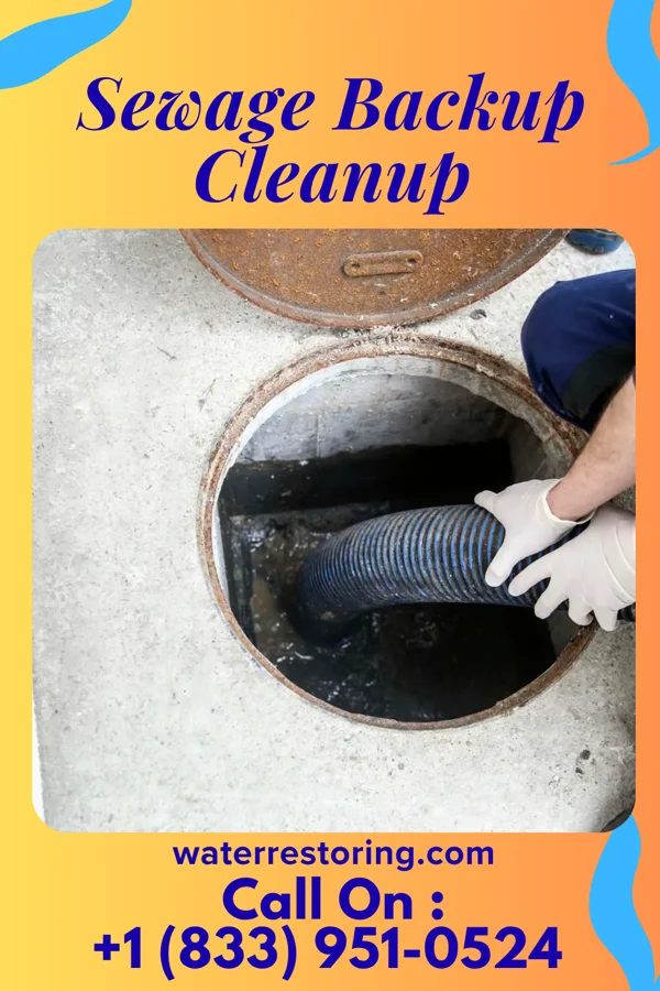 Sewage Backup Cleanup in Pecan Hill, TX