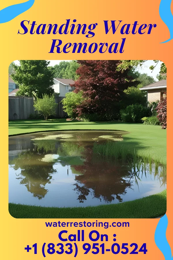 Standing Water Removal in Pecan Hill, TX